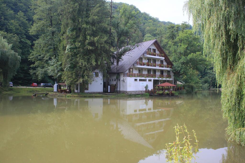 Guest House Lacul Linistit Moneasa Habitación foto